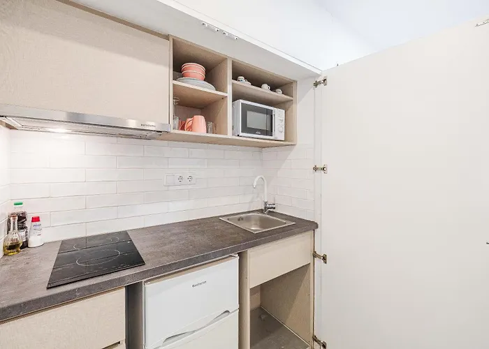 公寓 辛特拉别墅 *